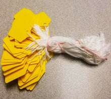 Load image into Gallery viewer, PAPER TAGS W/STRING (MULTIPLE COLORS AVAILABLE)
