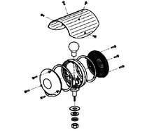 Load image into Gallery viewer, REPLACEMENT LAMPS &amp; SHIELDS
